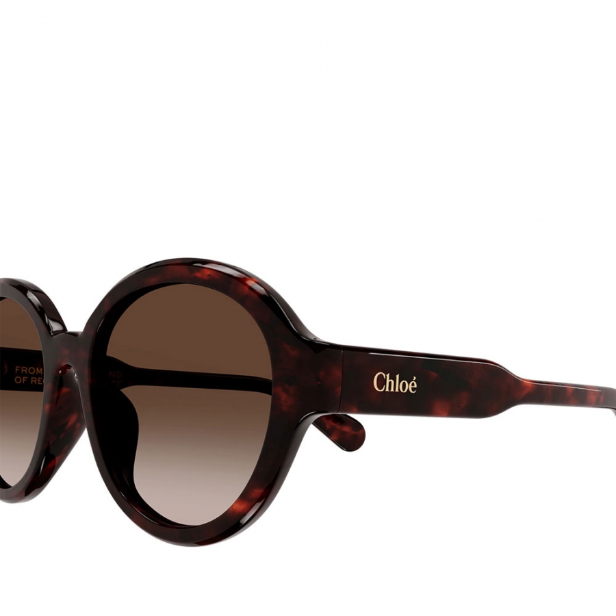 lunettes-de-soleil-ch0156sk-002