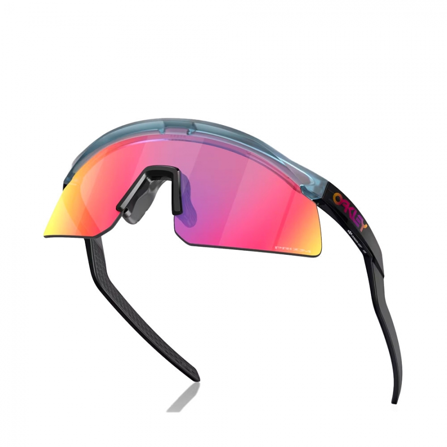 lunettes-de-soleil-de-la-collection-communautaire-hydra