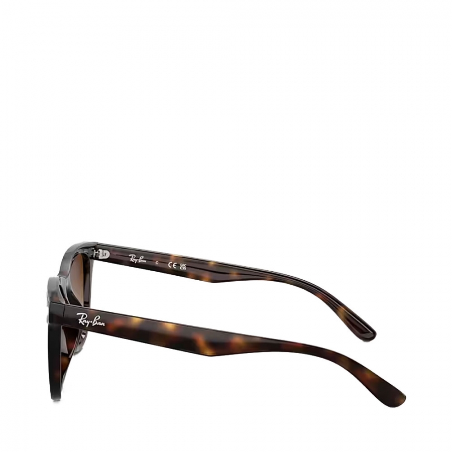 lunettes-de-soleil-0rb4420