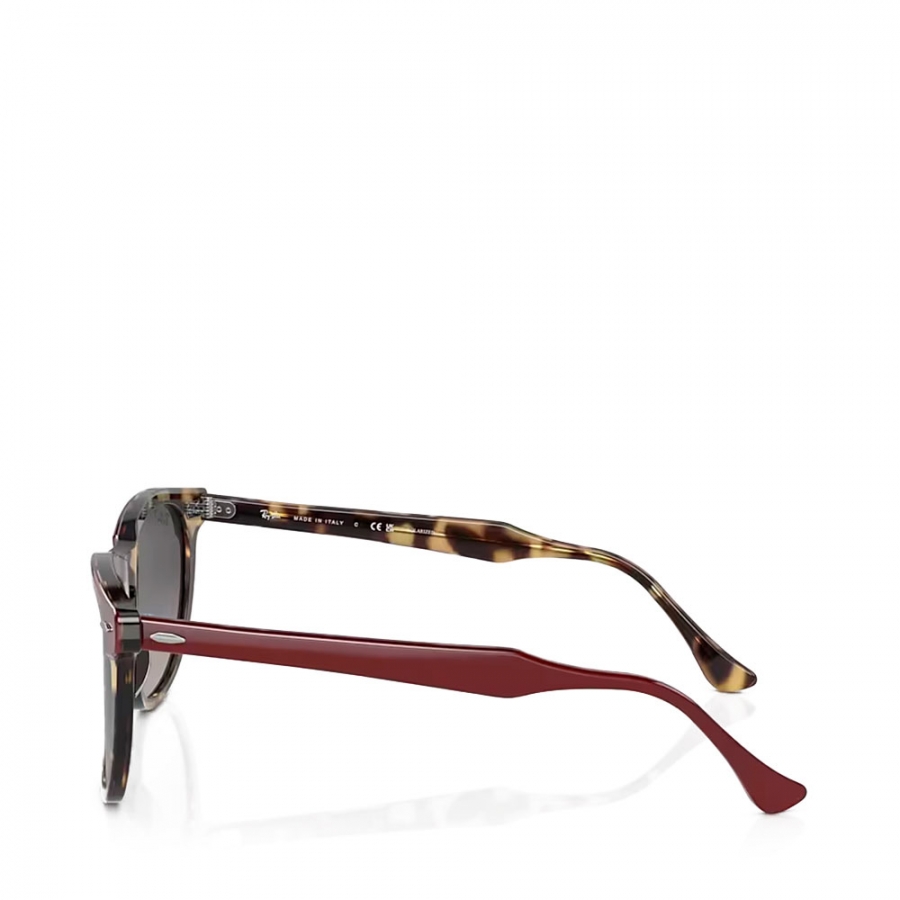 lunettes-de-soleil-oeil-d-aigle-0rb2398-1377m3