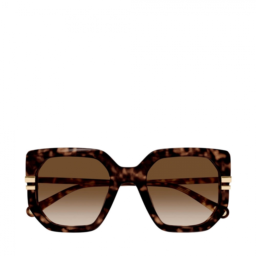 chloe-gafas-ch0240s-002-t53-havana