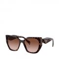 2AU651-TORTOISE-BROWN GRAD