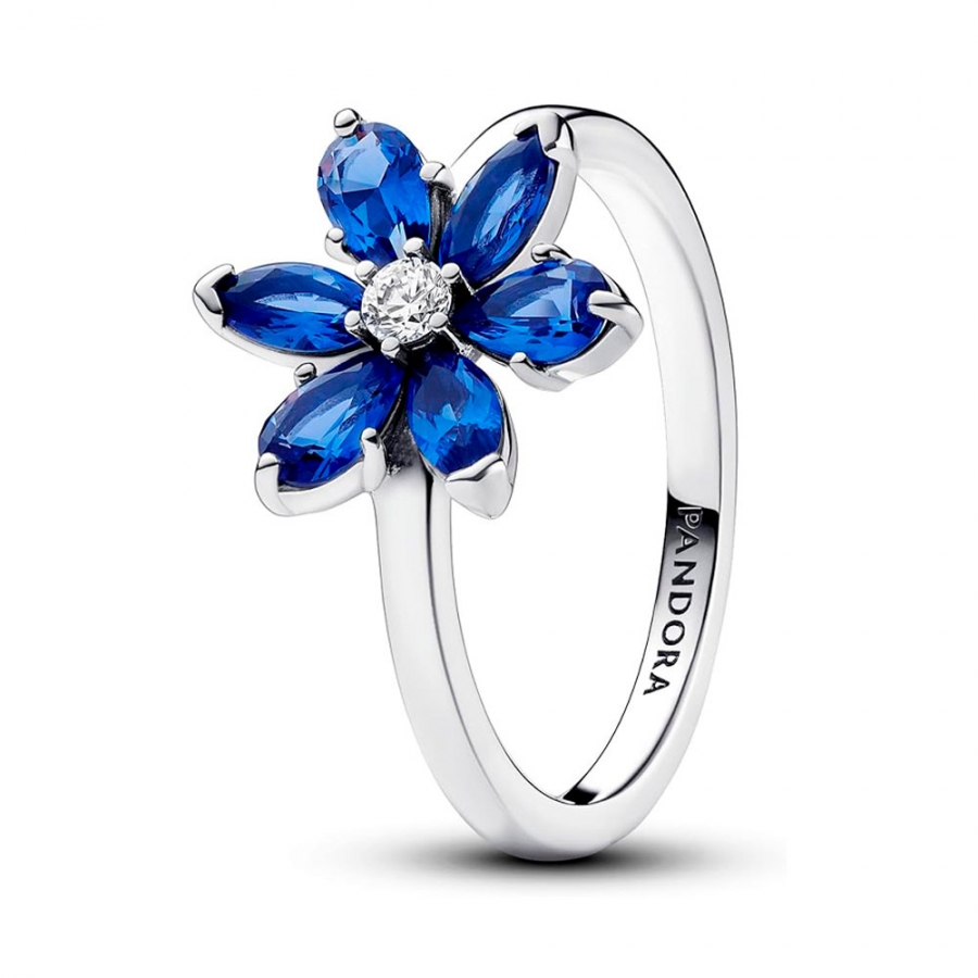 blue-shiny-herbal-ring-193000c01