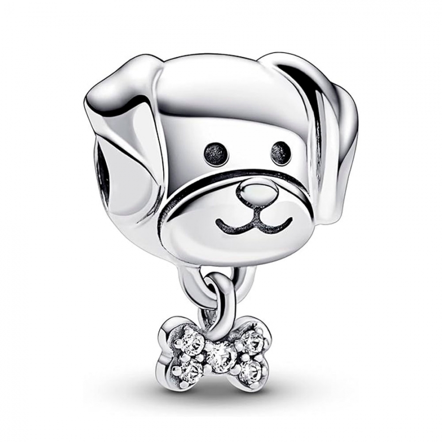 charm-mascota-perro-y-hueso-792254c01