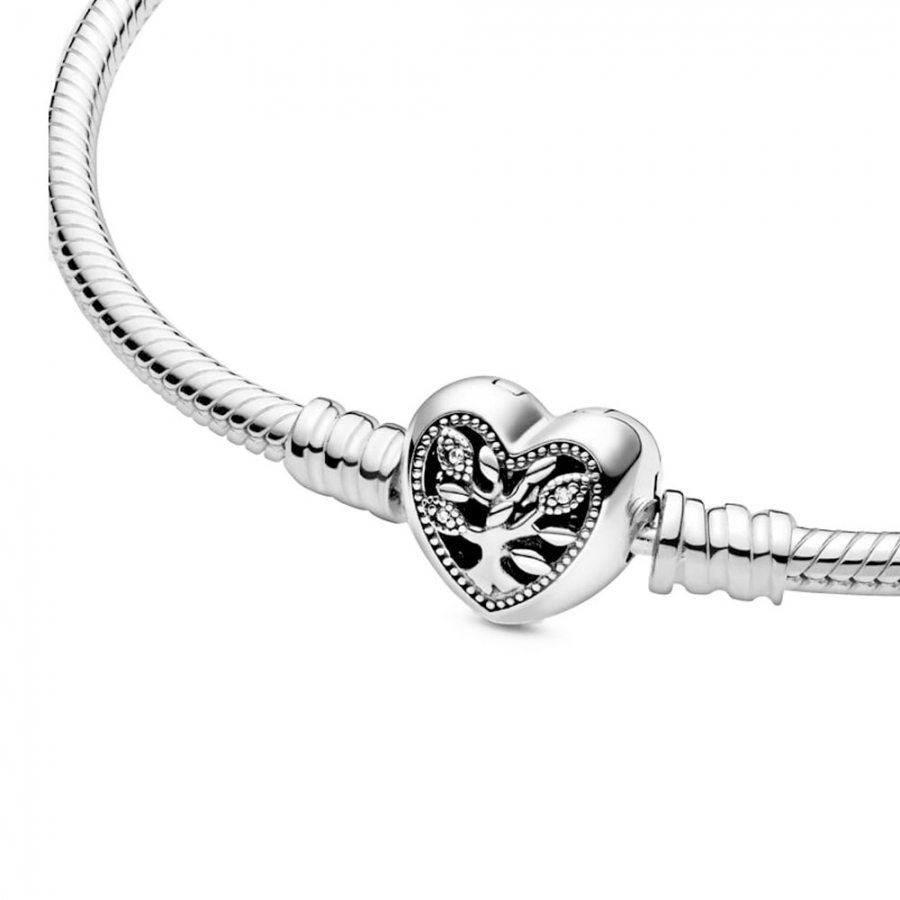 snake-chain-bracelet-with-family-heart-clasp-598827c01