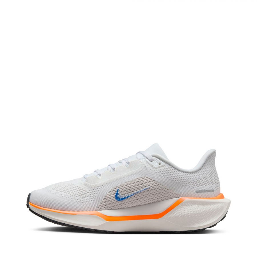 chaussures-air-zoom-pegasus-41