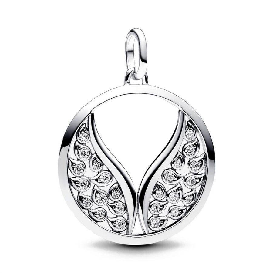 pandora-me-large-wings-locket-charm-793371c01