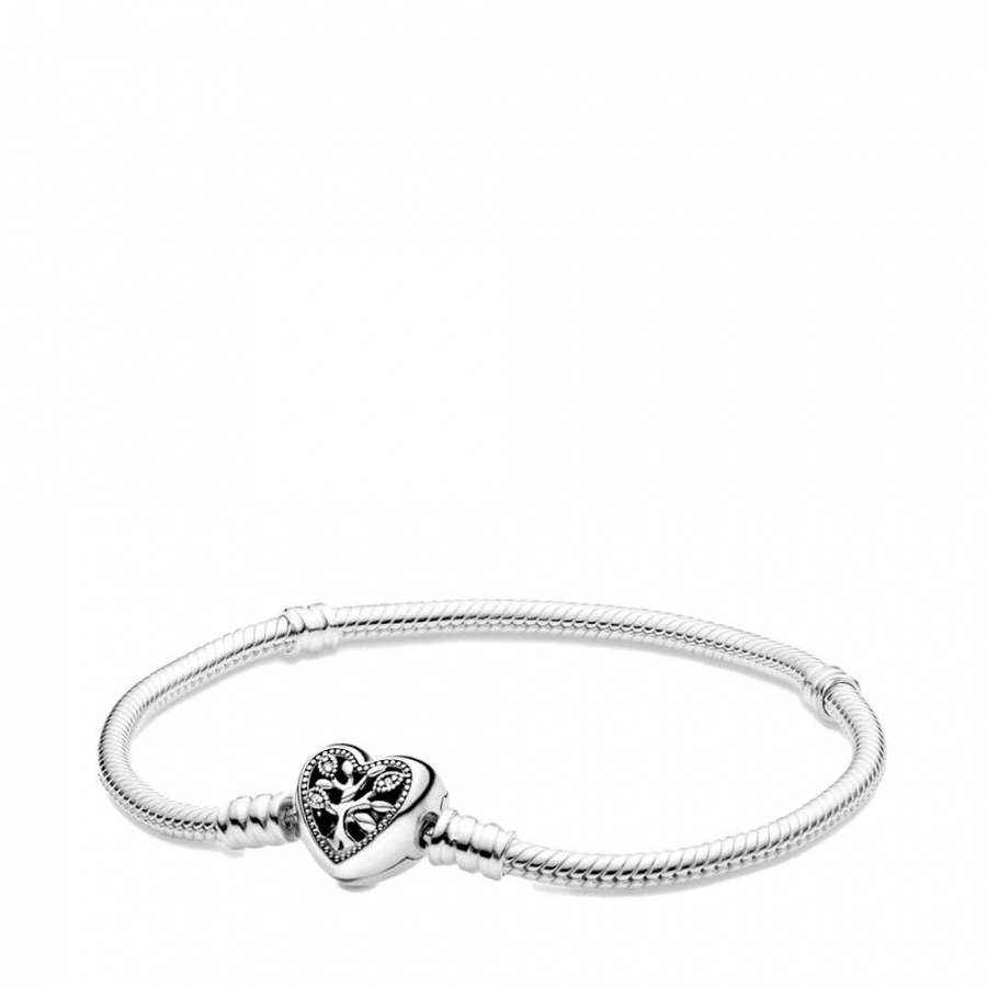 snake-chain-bracelet-with-family-heart-clasp-598827c01