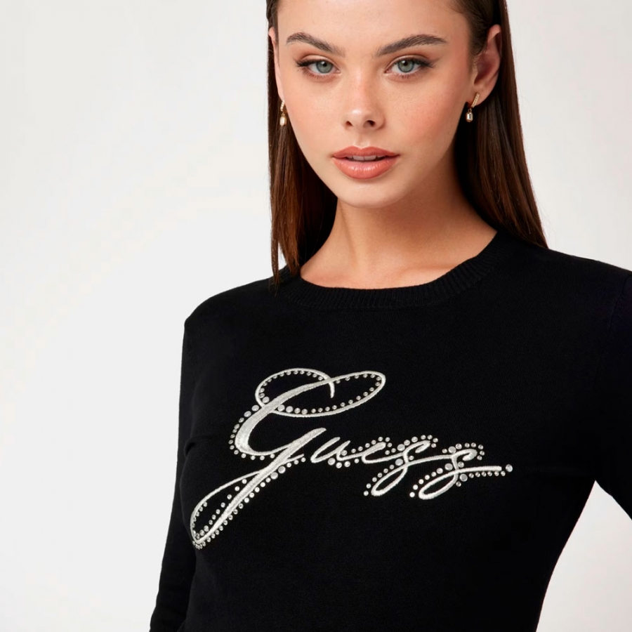 pullover-mit-strass-logo-vorne