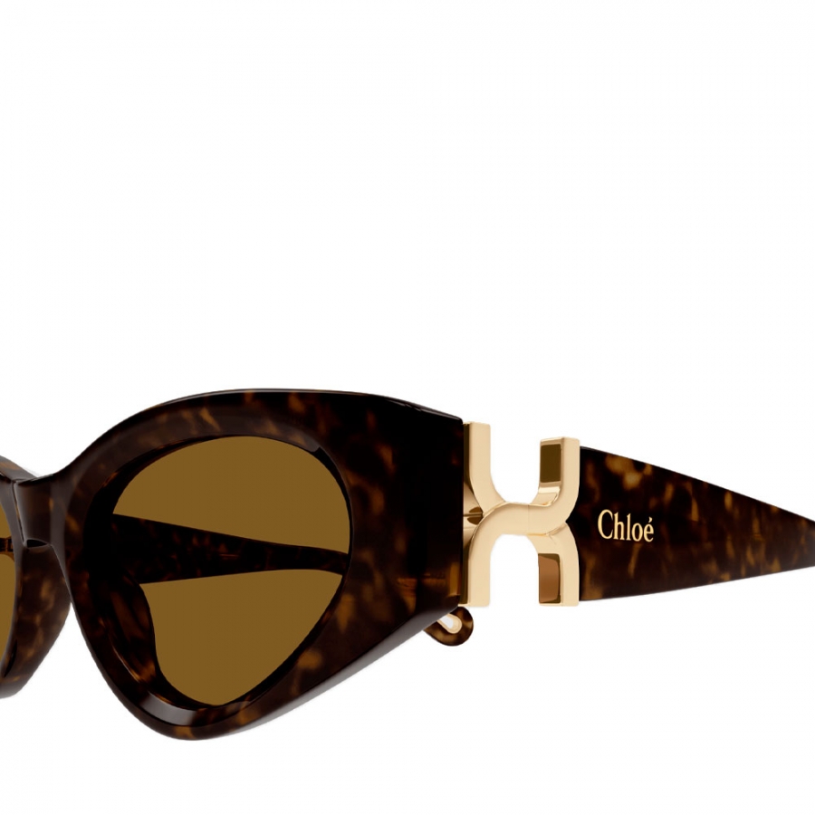 oculos-de-sol-ch0259s