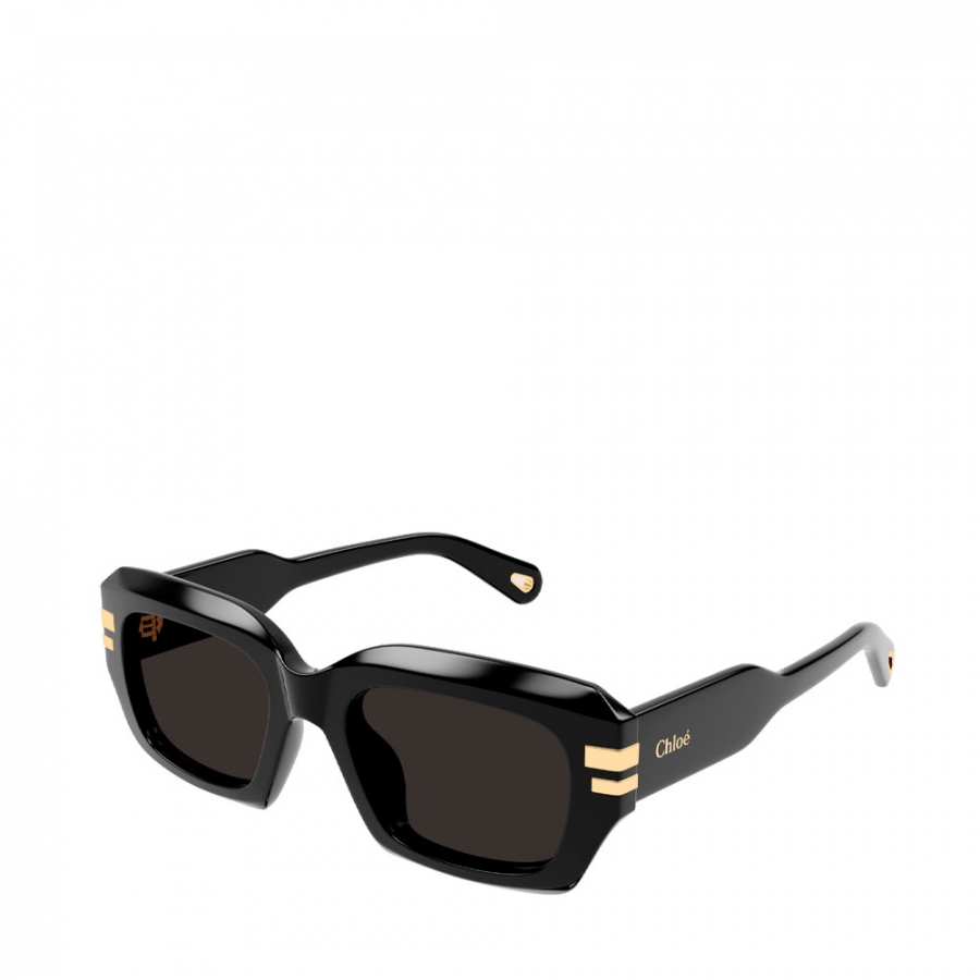 ch0256s-sunglasses