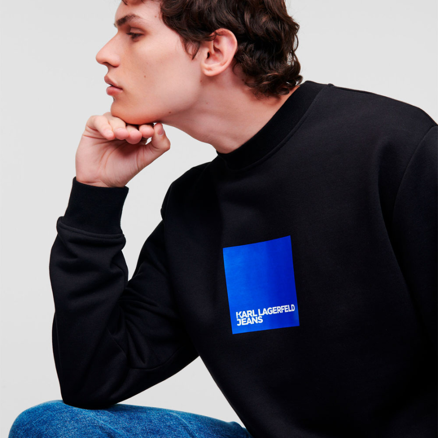 sweatshirt-mit-box-logo