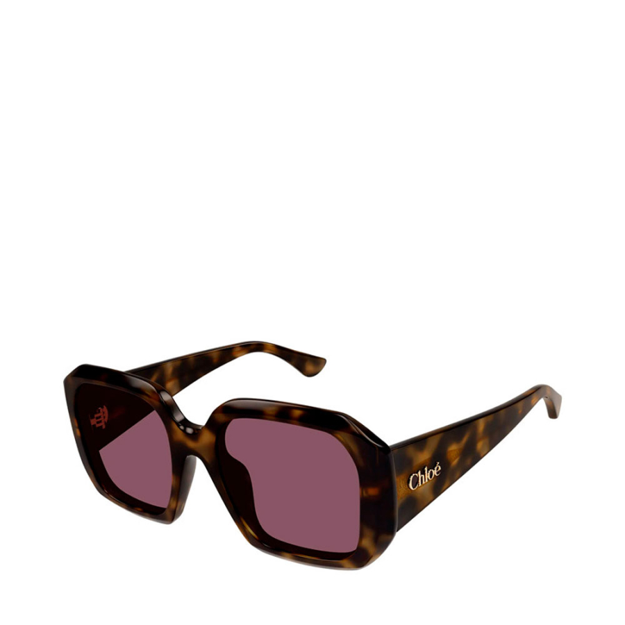 sunglasses-ch0300s